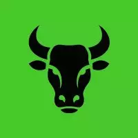 Bull Theory