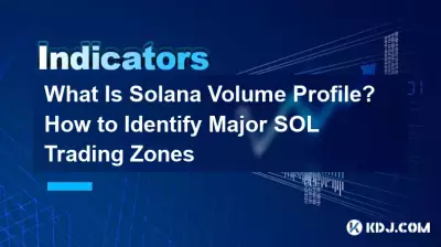 What Is Solana Volume Profile? How to Identify Major SOL Trading Zones What Is Solana Volume Profile? How to Identify Major SOL Trading Zones