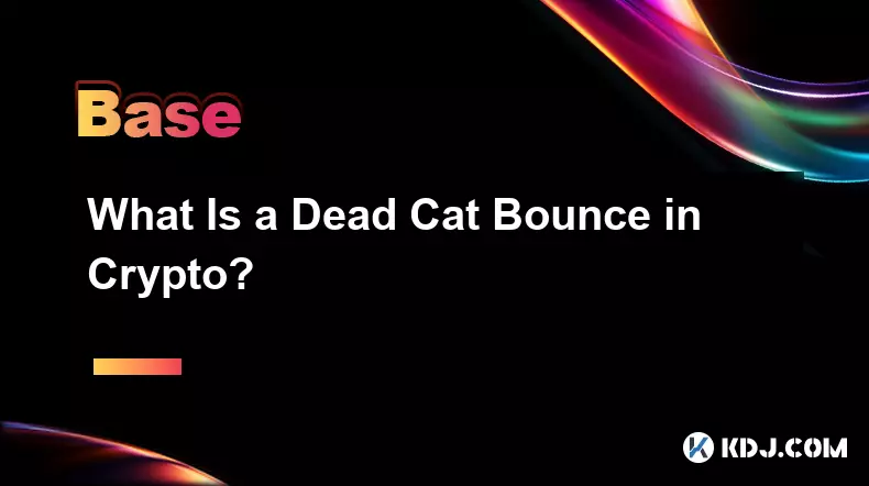 Was ist ein Dead Cat Bounce in Krypto?