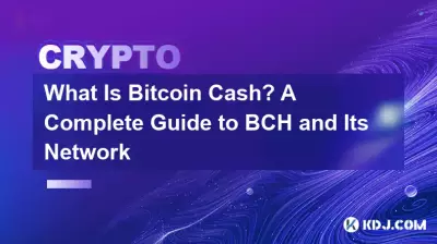 Bitcoin 現金是什麼? BCH 及其網路完整指南 Bitcoin 現金是什麼? BCH 及其網路完整指南