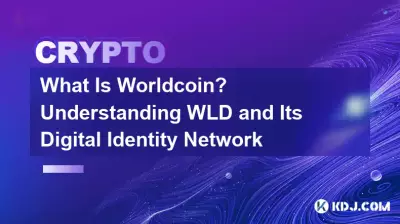 월드코인이란 무엇인가요? WLD와 디지털 신원 네트워크 이해 월드코인이란 무엇인가요? WLD와 디지털 신원 네트워크 이해