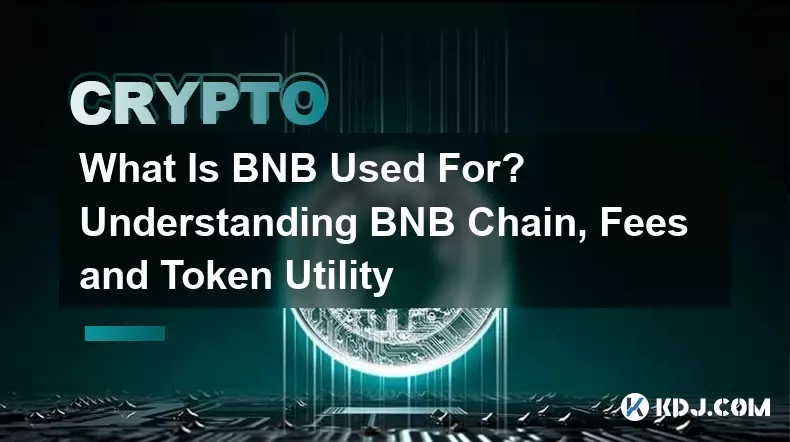 BNB는 어디에 사용되나요? BNB 체인, 수수료 및 토큰 유틸리티 이해
