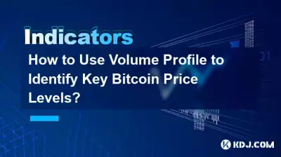 볼륨 프로필을 사용하여 주요 Bitcoin 가격 수준을 식별하는 방법은 무엇입니까? 볼륨 프로필을 사용하여 주요 Bitcoin 가격 수준을 식별하는 방법은 무엇입니까?