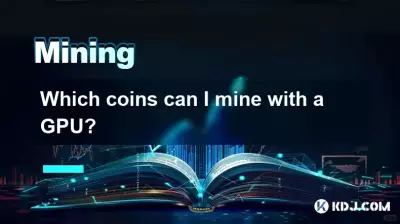 我可以使用 GPU 开采哪些硬币? 我可以使用 GPU 开采哪些硬币?