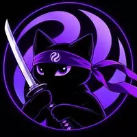 Ninja Cat
