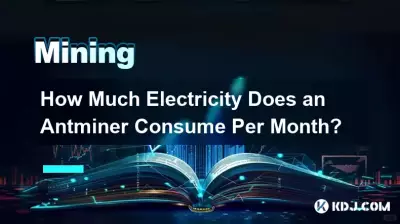 Wie viel Strom verbraucht ein Antminer pro Monat? Wie viel Strom verbraucht ein Antminer pro Monat?