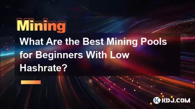 What Are the Best Mining Pools for Beginners With Low Hashrate? What Are the Best Mining Pools for Beginners With Low Hashrate?
