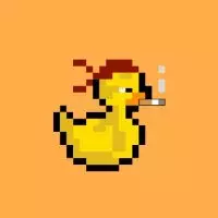 Duc Crypto