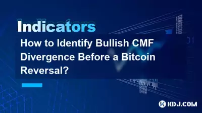 Bitcoin 반전 전에 강세 CMF 다이버전스를 식별하는 방법은 무엇입니까? Bitcoin 반전 전에 강세 CMF 다이버전스를 식별하는 방법은 무엇입니까?