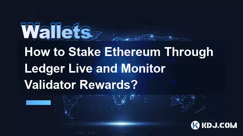 Wie kann man Ethereum über Ledger Live einsetzen und die Validator-Belohnungen überwachen?