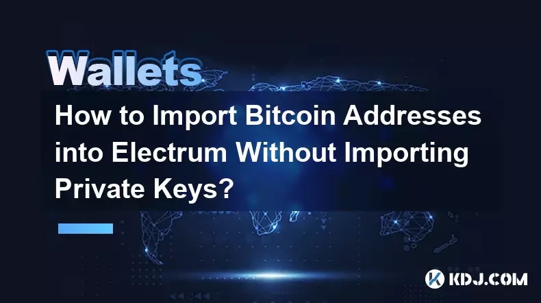 如何在不导入私钥的情况下将Bitcoin地址导入Electrum？