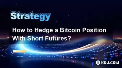 如何通过空头期货对冲 Bitcoin 头寸? 如何通过空头期货对冲 Bitcoin 头寸?