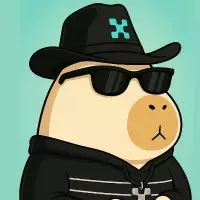 Vav Crypto🌊