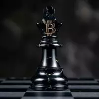 Crypto Bishop