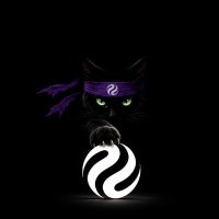 NINJACAT