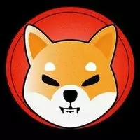 Shiba INU