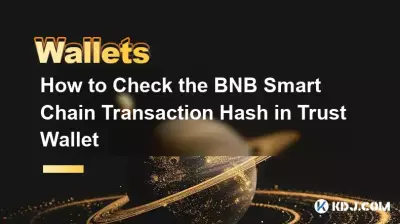 Comment vérifier le hachage de transaction BNB Smart Chain dans Trust Wallet Comment vérifier le hachage de transaction BNB Smart Chain dans Trust Wallet