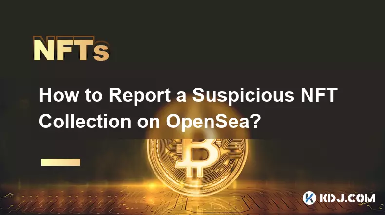 How to Report a Suspicious NFT Collection on OpenSea?