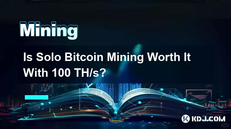 ソロ Bitcoin マイニングは 100 TH/s で行う価値がありますか?
