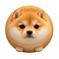 KOINU