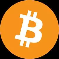 Bitcoin professor