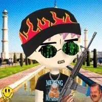 raid