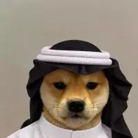Enzo 