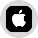 Apple Tokenized Stock (Ondo)
