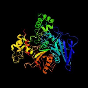 Enzyme