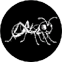 ANTSCOIN