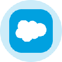 Salesforce Inc (Derivatives)