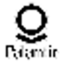 Palantir Technologies Inc (Derivatives)