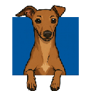 Cosmo