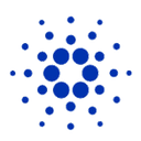 Wrapped Cardano