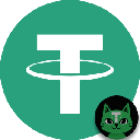 TetheCat Tether USD (Bridge TC20)
