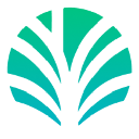 Palm Economy