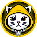Cat in Hoodie