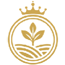 RAI Token