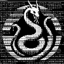 H1DR4 by Virtuals