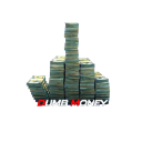 Dumb Money