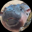 Moo Deng (MooDengBase)