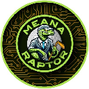 Meana Raptor