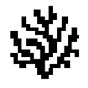 Coral Protocol